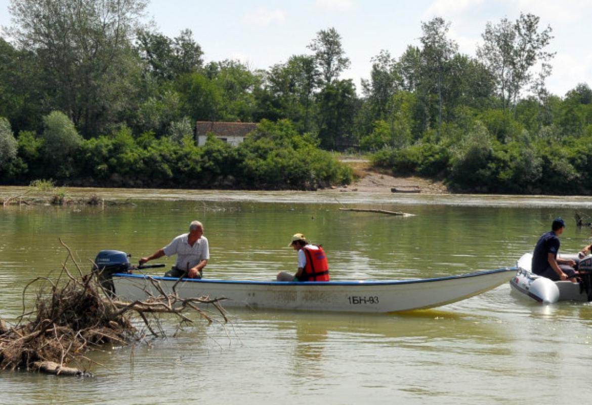 Drina