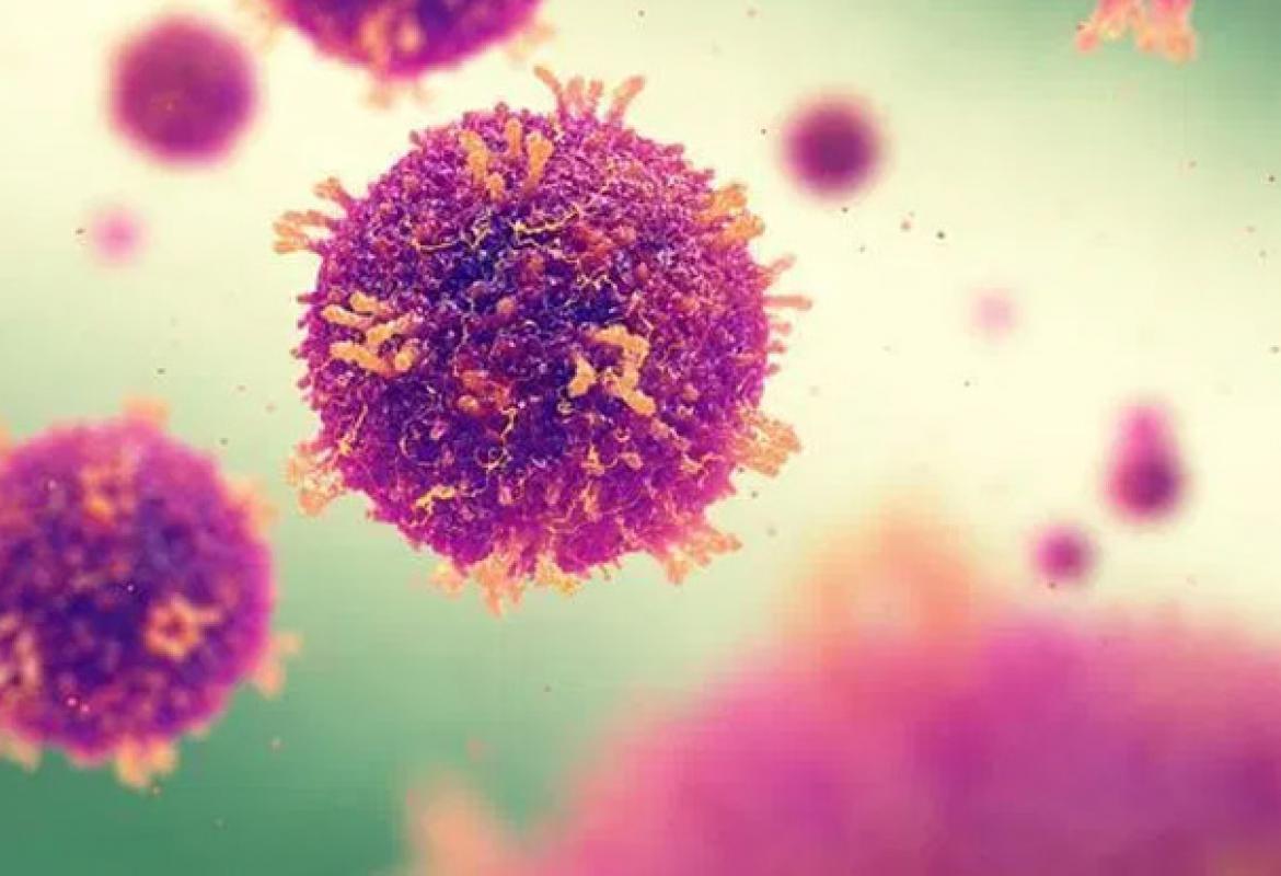 Coronavirus