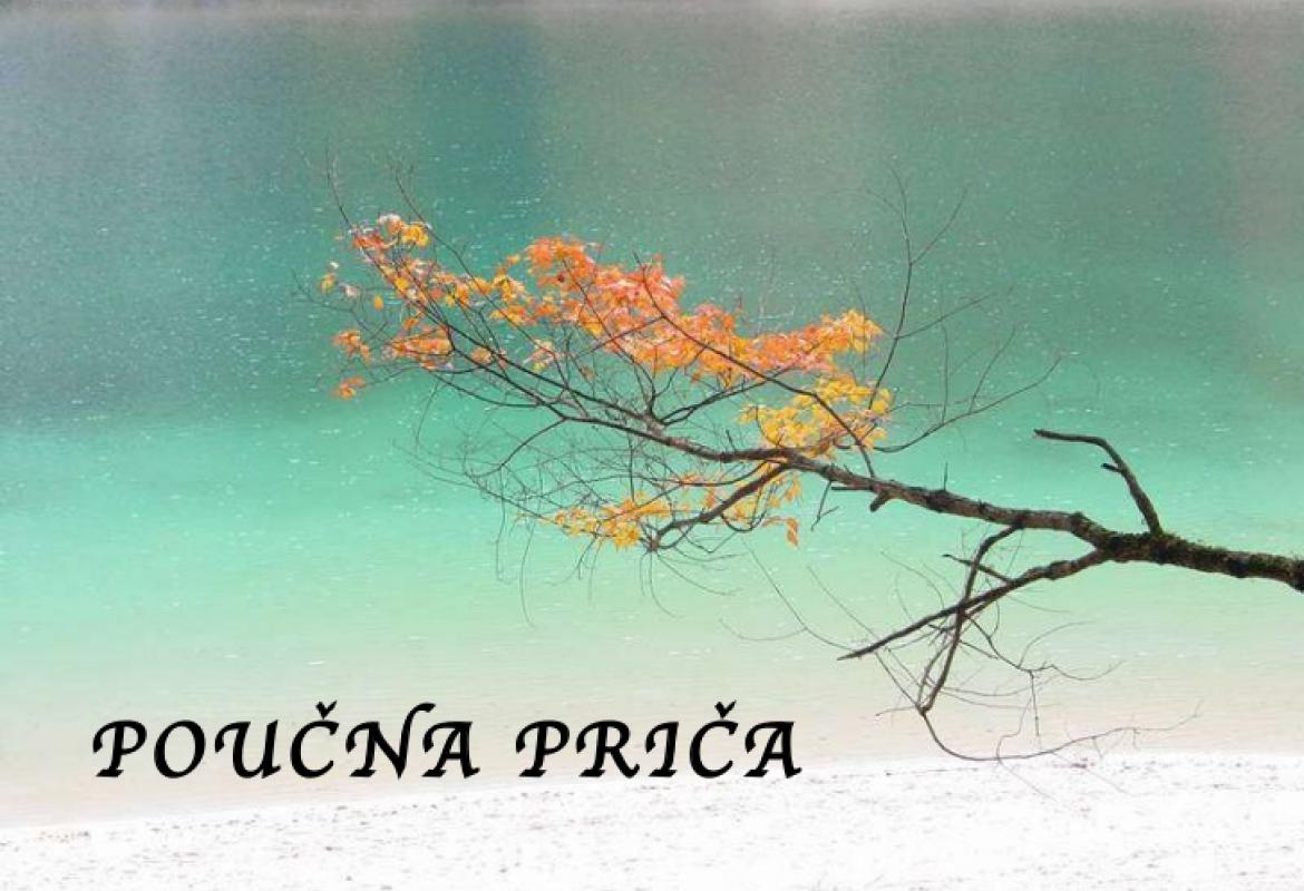 poucna prica