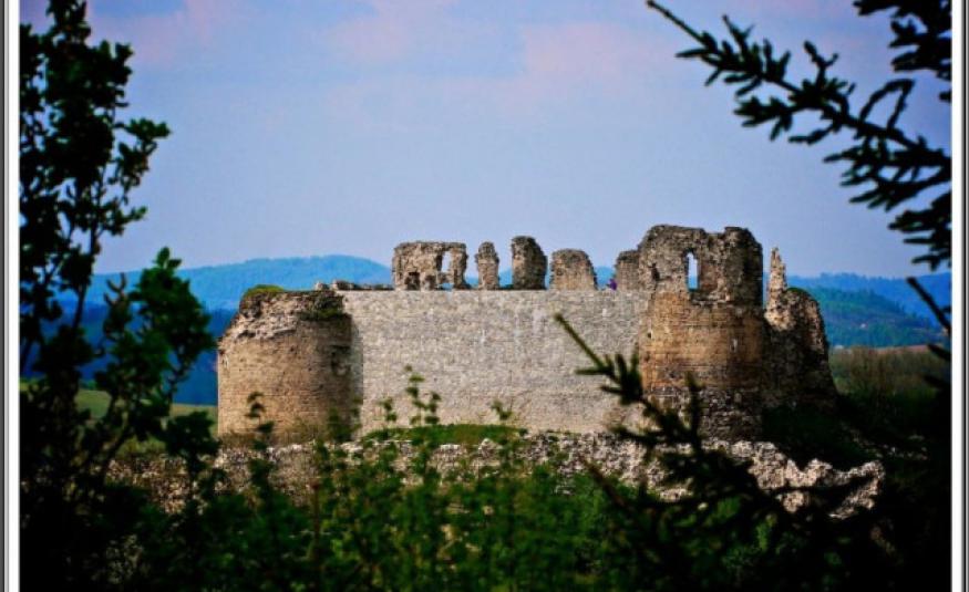 Stari grad Bužim