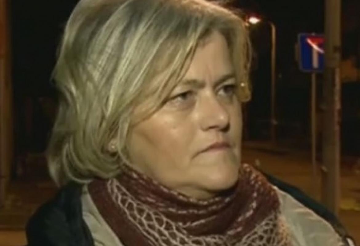 Prof.dr.sc. Vildana Alibabić