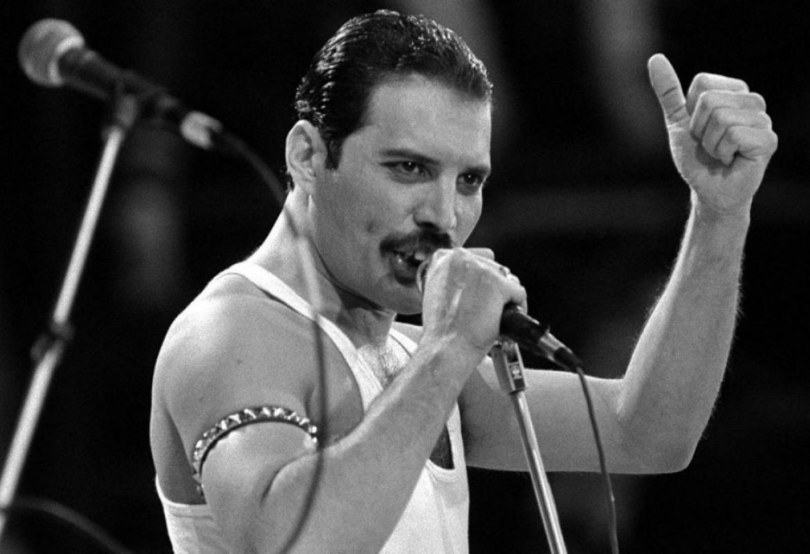 freddie