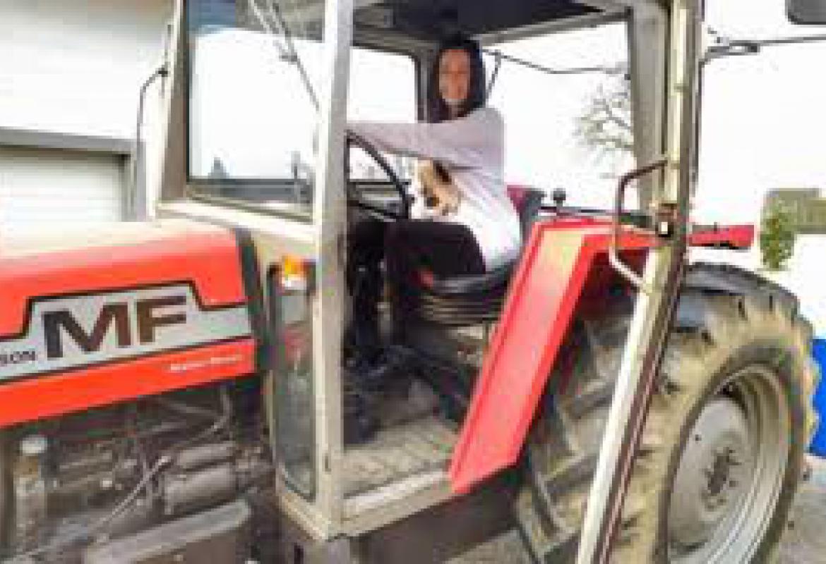 traktor