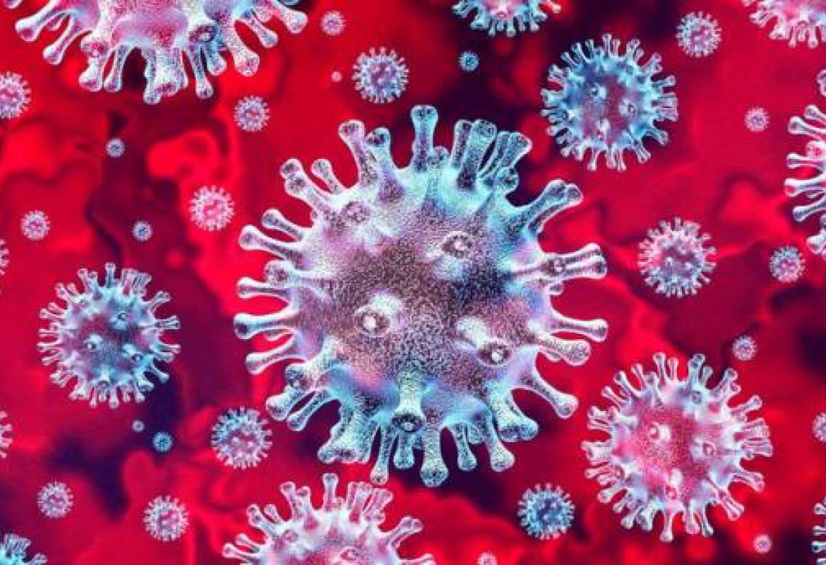 Koronavirus