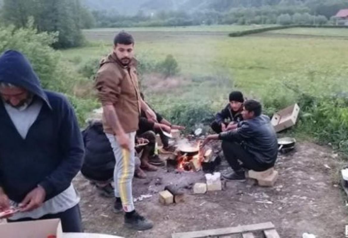 Migrantska ruta