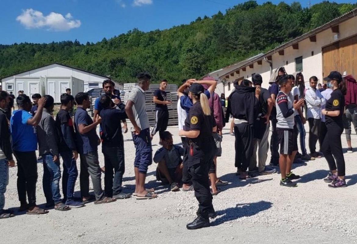 migranti