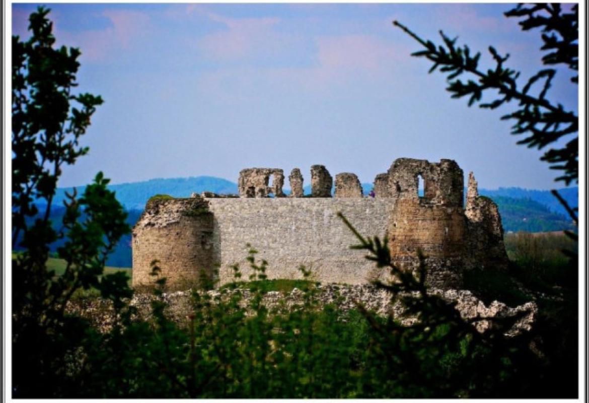 Stari grad Bužim