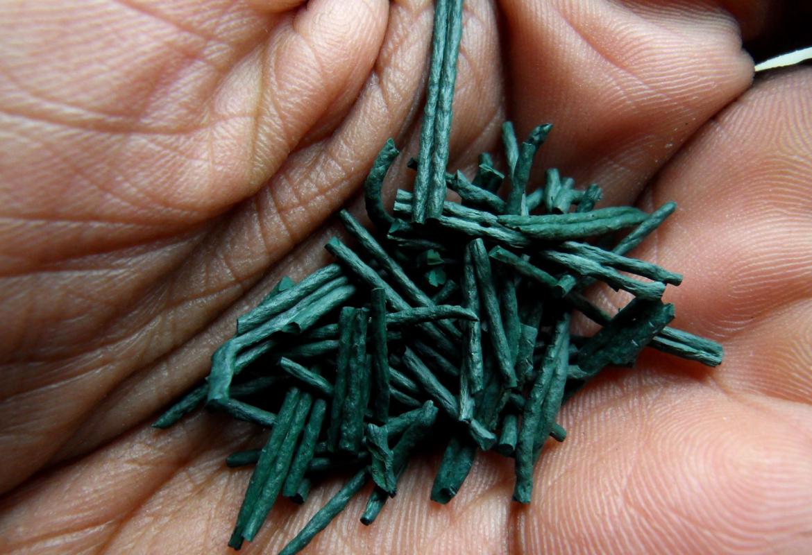 spirulina