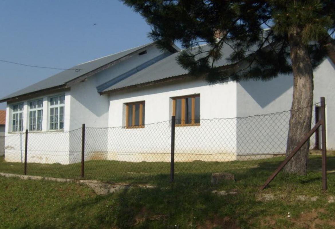 škola