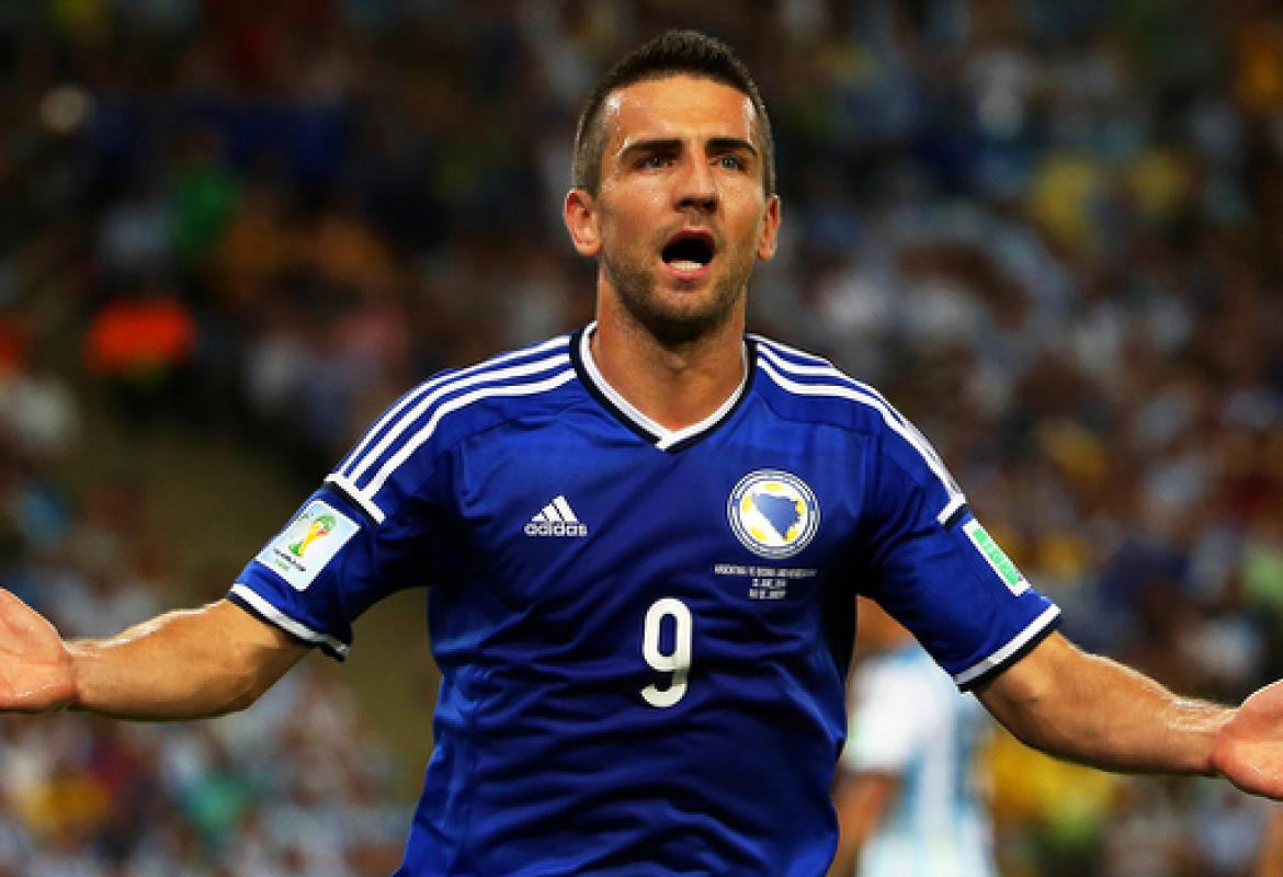 ibisevic